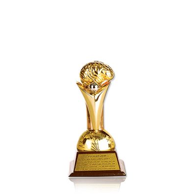 عناوین و افتخارات شرکت طناز