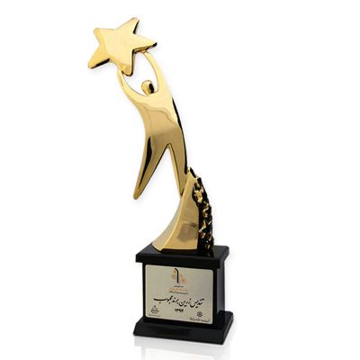 عناوین و افتخارات شرکت طناز