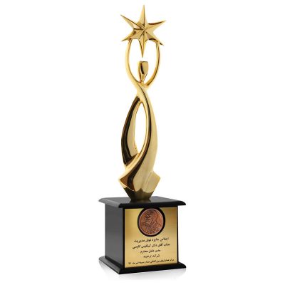 عناوین و افتخارات شرکت طناز